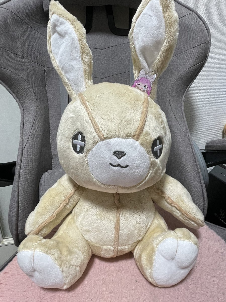 夢楽うさぎ🐰✨ tweet media