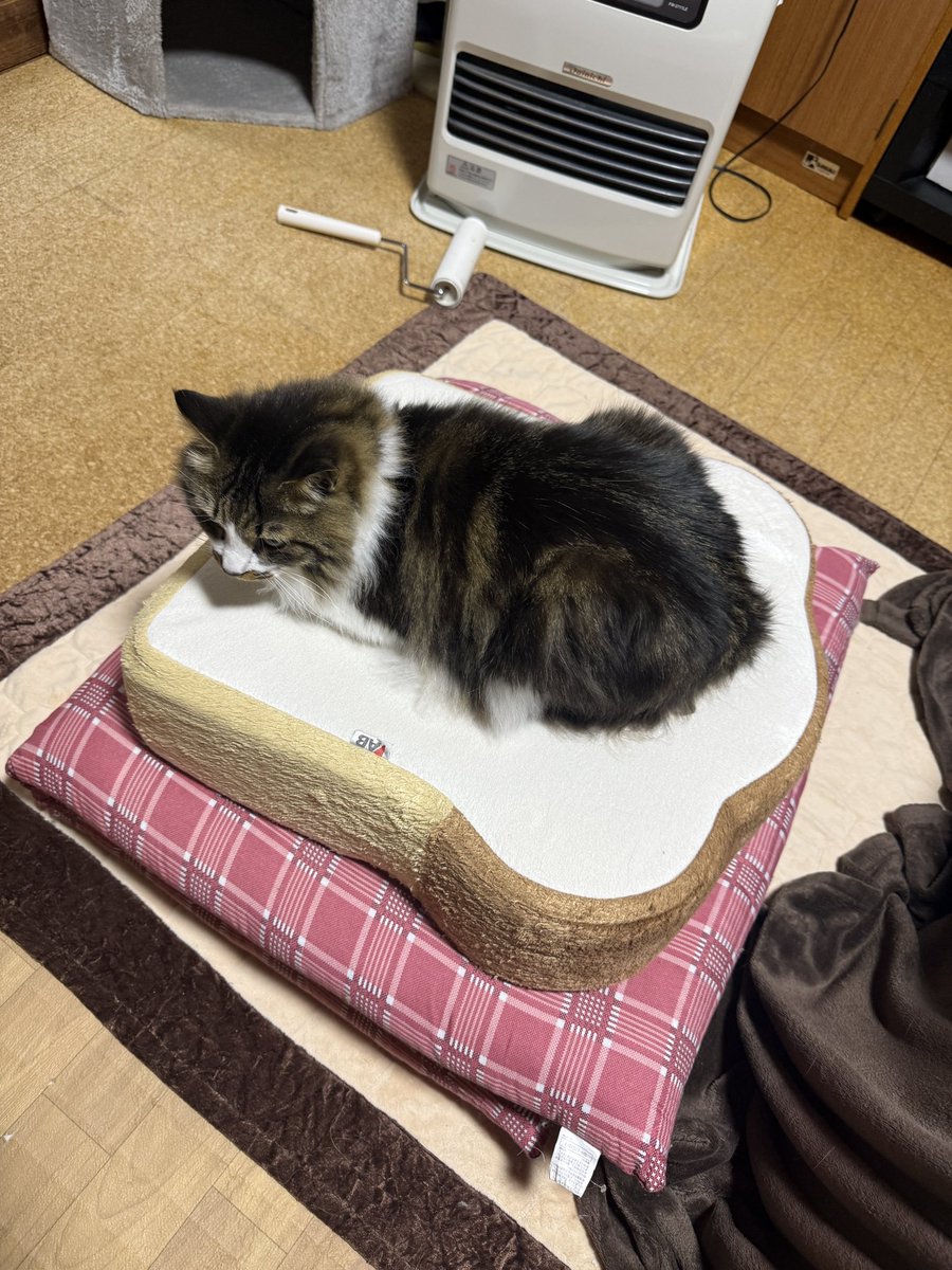 かにになりたいね tweet media