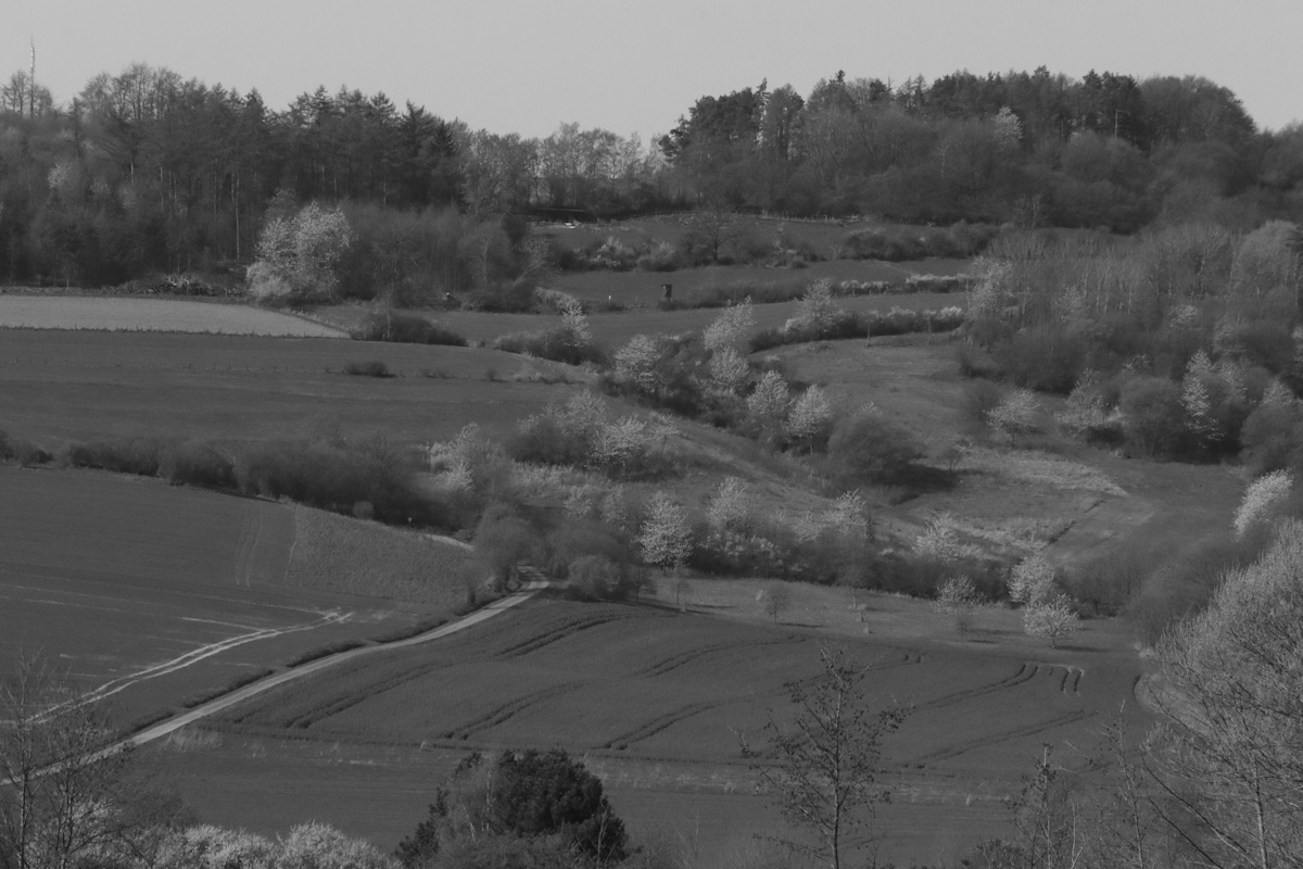 Christian Kaiser tweet media