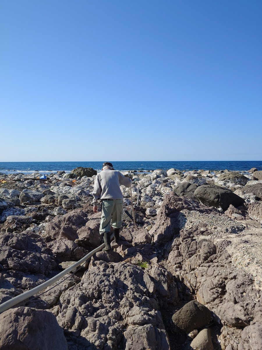 株式会社 珠洲製塩【公式】 tweet media