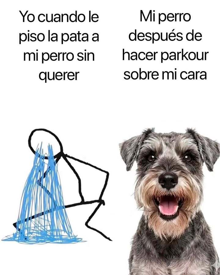 Top Moda Hoy tweet media