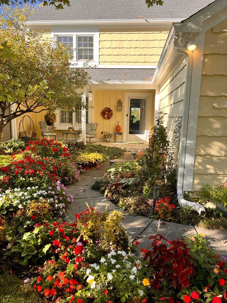 🍃🕊️ tweet media