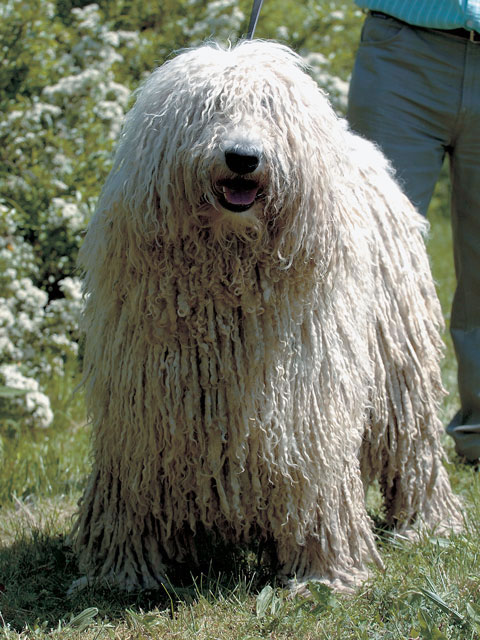 リョウ tweet media