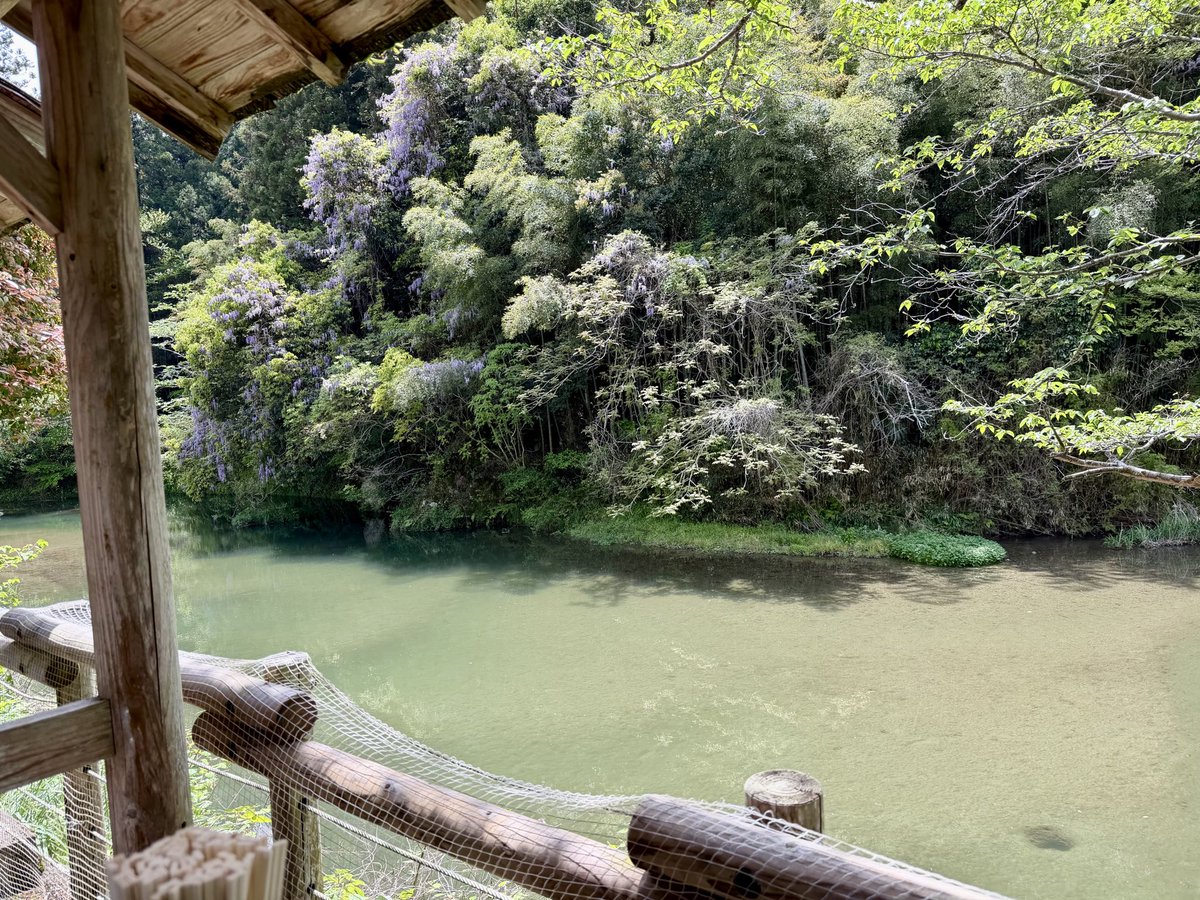 茶色の子 tweet media