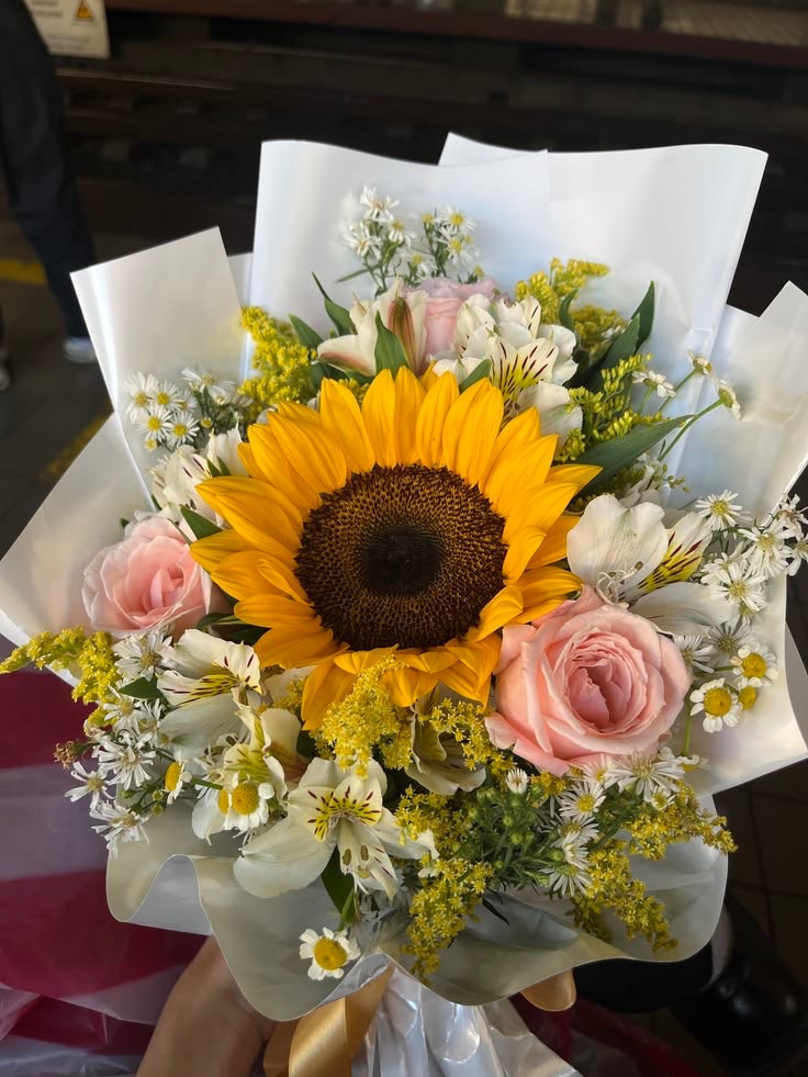 Soft Petals tweet media