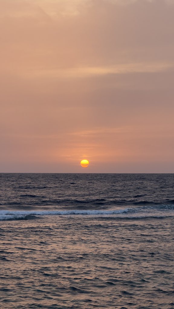 Evgeniya A. Gushchina tweet media