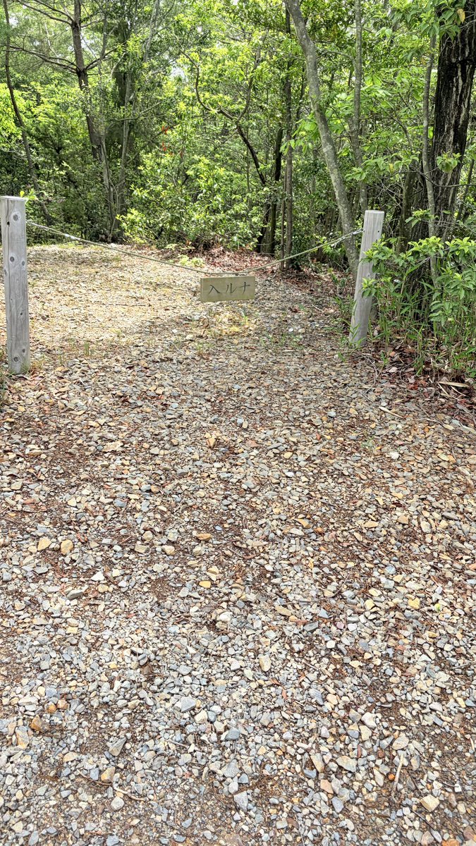 ずっきー🫧 tweet media