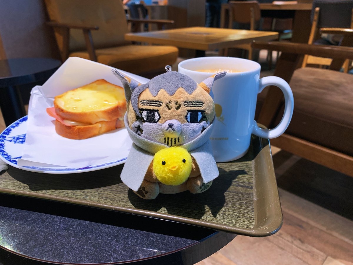 ☕️🥪🐱