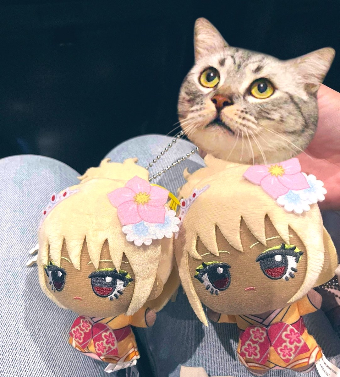 𝕦𝕟𝕒𝜗𝜚.˚⋆ tweet media