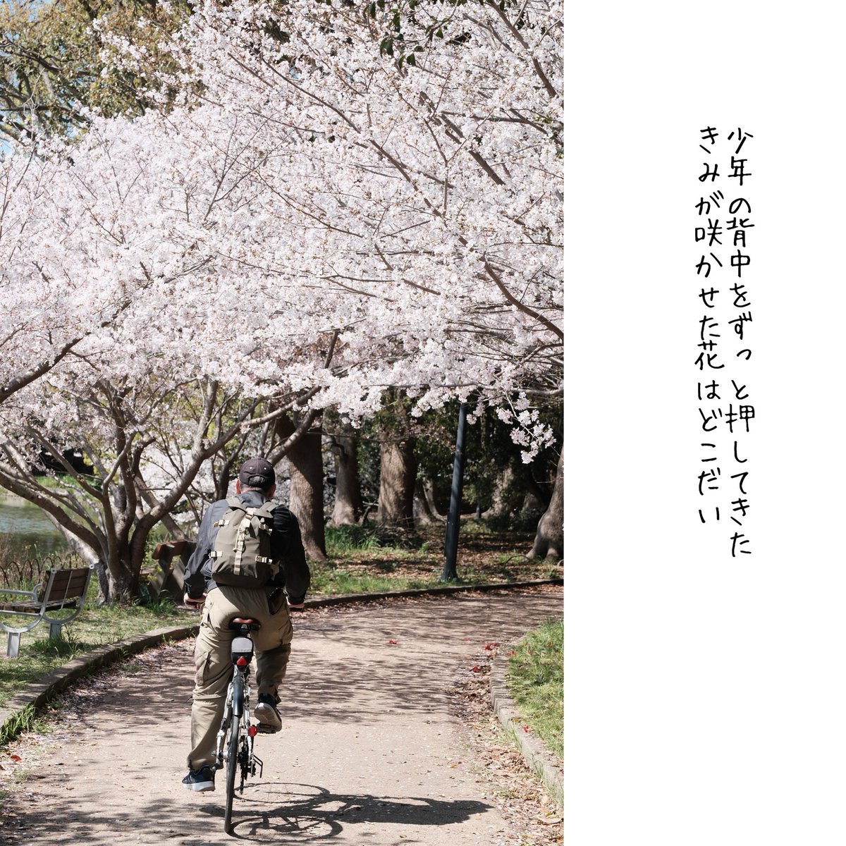 西端康孝 / コピーライター、歌人、川柳家 tweet media