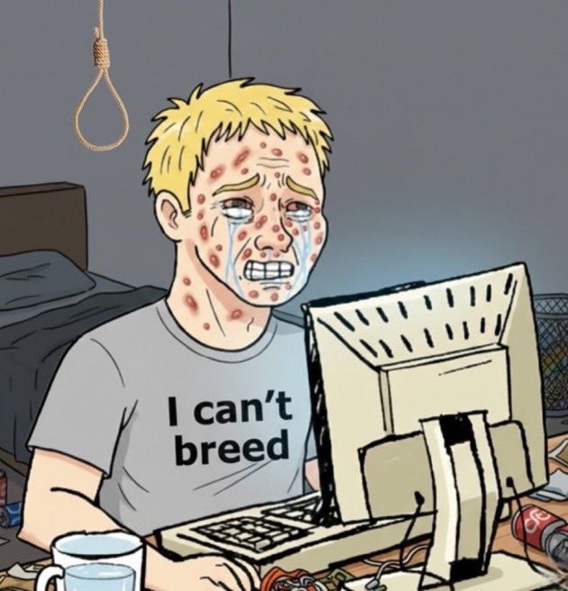 Joe Carpenter tweet media