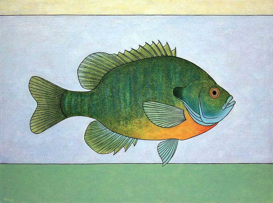 Bluegill,  2019, Norman Engel.