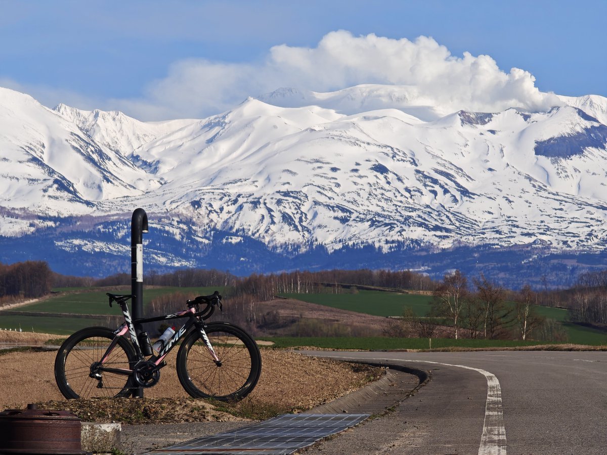 KENTIME@蝦夷地四度目の春 tweet media