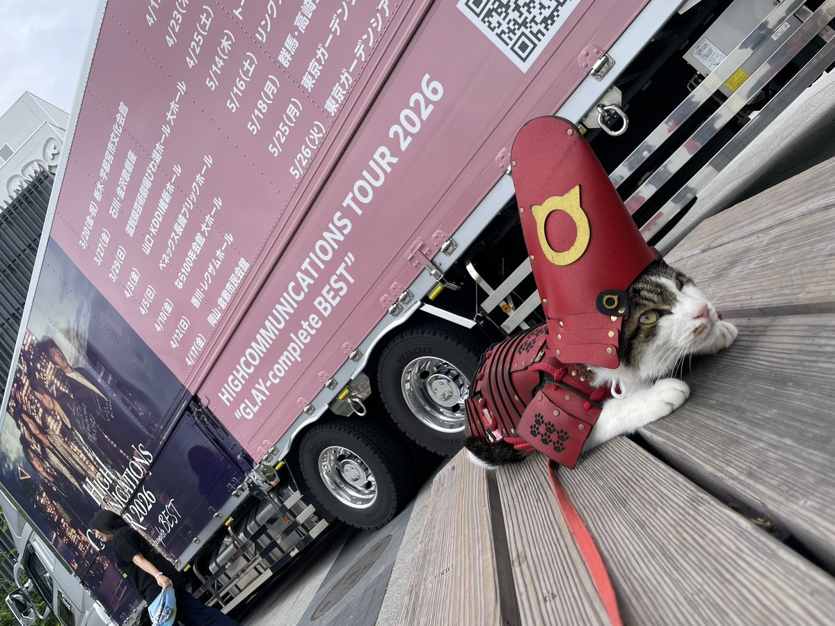 じーつー(こぱんだ) tweet media