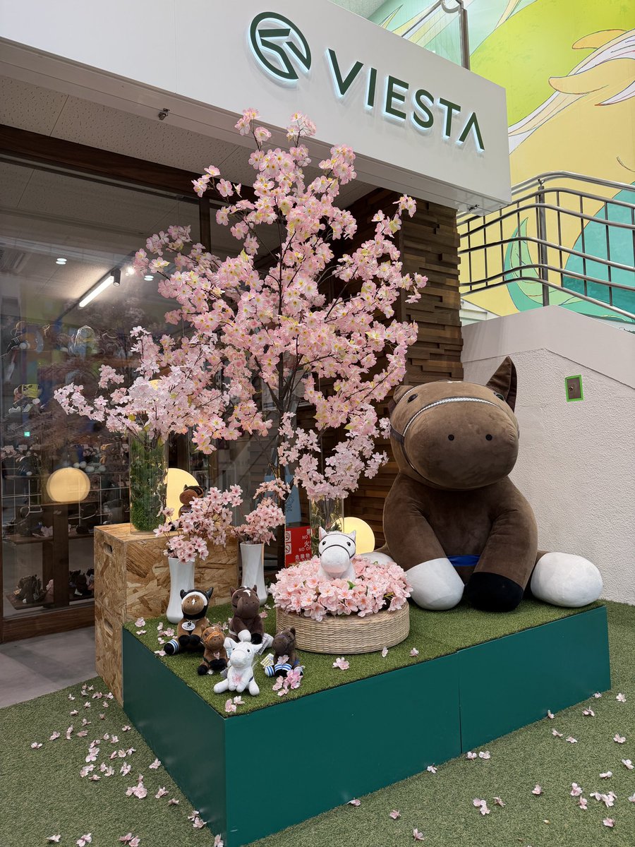 uiuitei's tweet photo. #PR #VIESTA仙台 https://t.co/WFf3AqSUom
