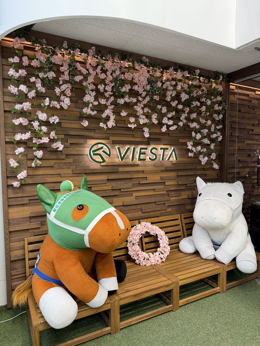 uiuitei's tweet photo. #PR #VIESTA仙台 https://t.co/WFf3AqSUom