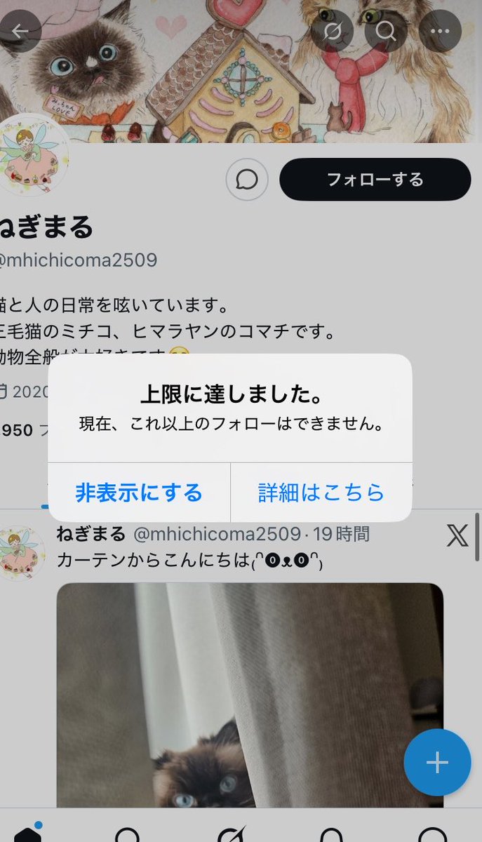 Negimaru TKK9012 tweet media