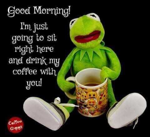 Paul 🤦‍♂️ tweet media