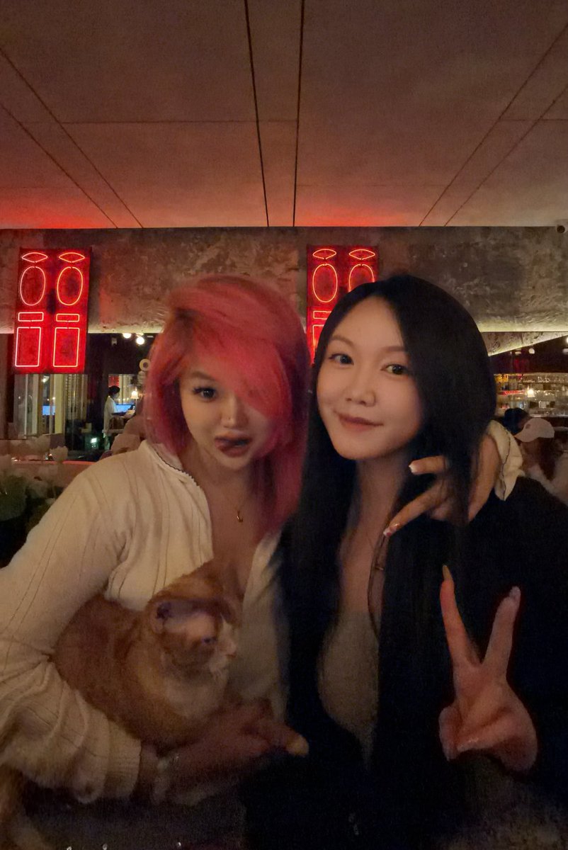 CindyCreation's tweet image. 在上海发现一家 某 #meme 大玩家开的Bar！

去的男同比较多….

有去过的吗？

我发现上海的Gay 比我们成都多多了….🤡

只是成都比较出名而已！