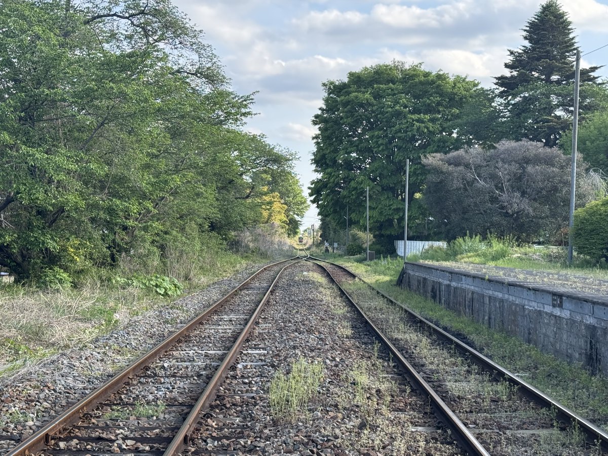 ねりま@BOOTHで個人誌頒布 tweet media