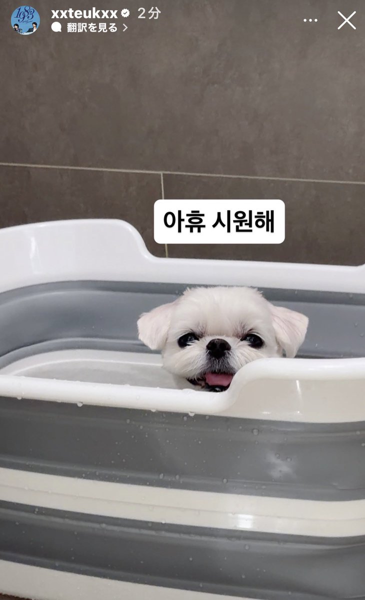 ☆kuri☆🐥🧡 tweet media