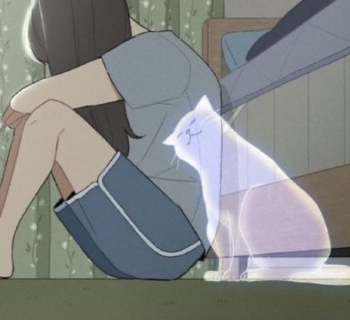 sokak kedisi tweet media