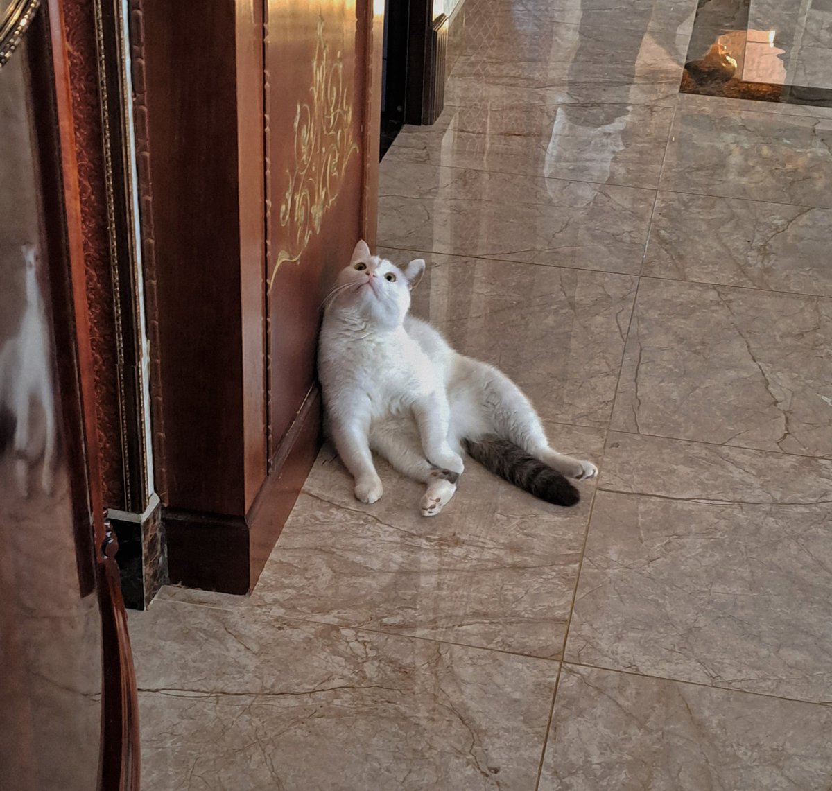 🩶🌱|чаёчек с мятой| 🌱🩶 tweet media