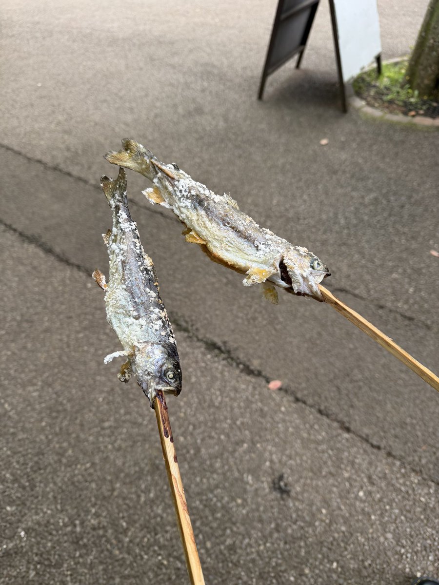 てんま tweet media