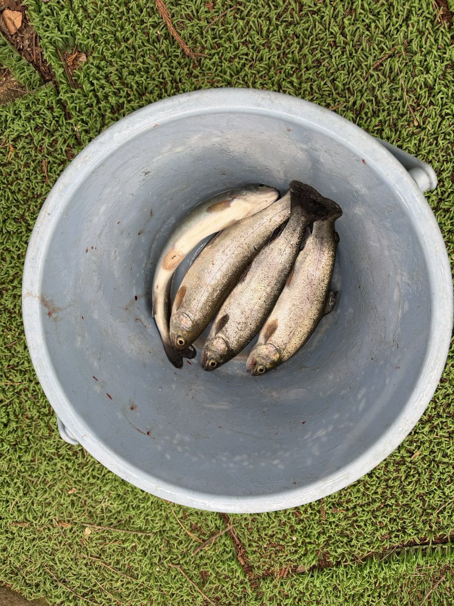 てんま tweet media