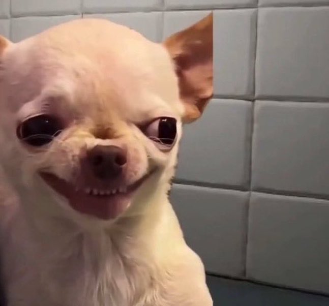 ISHMAEL. tweet media