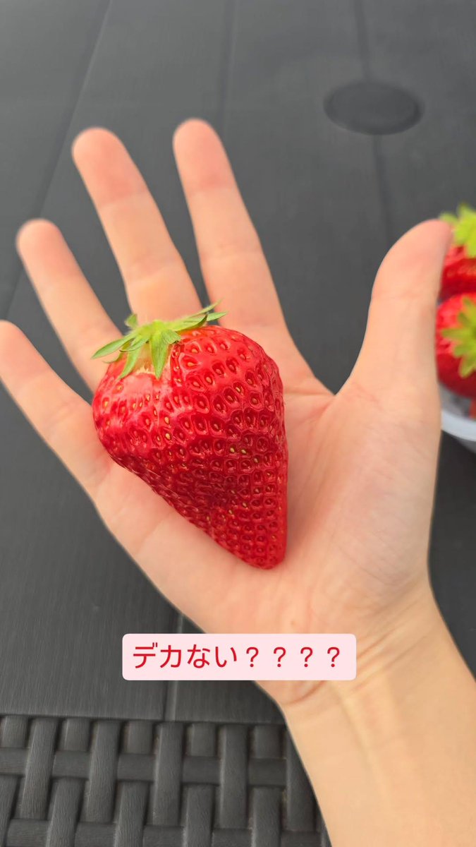 みすずやねん！！ tweet media