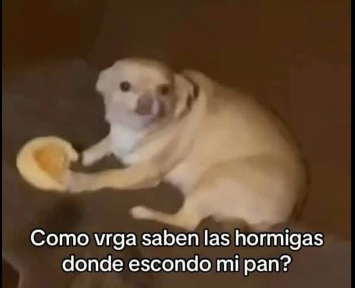 scarcemanager90's tweet photo. @feezius_ Comida favorita? ( perdon por lo atrevido de la pregunta) https://t.co/giehdkZgmz