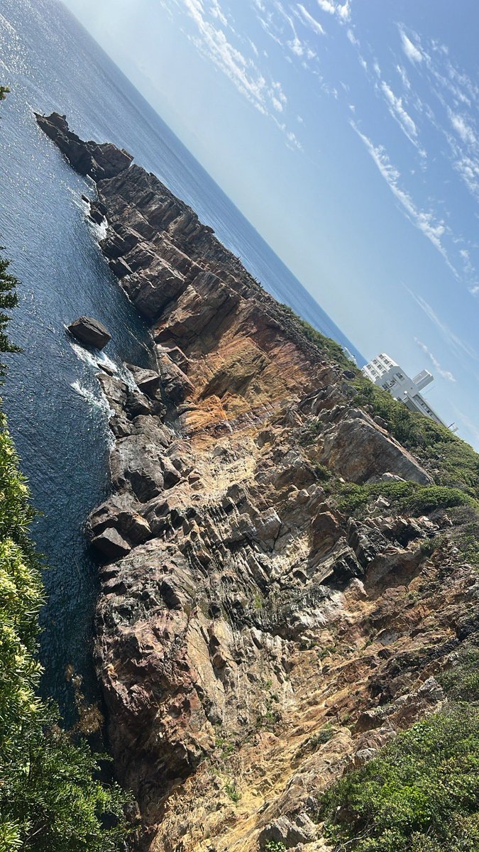 カロリーハーフくん@満身創痍(とっっっってもピュア) tweet media