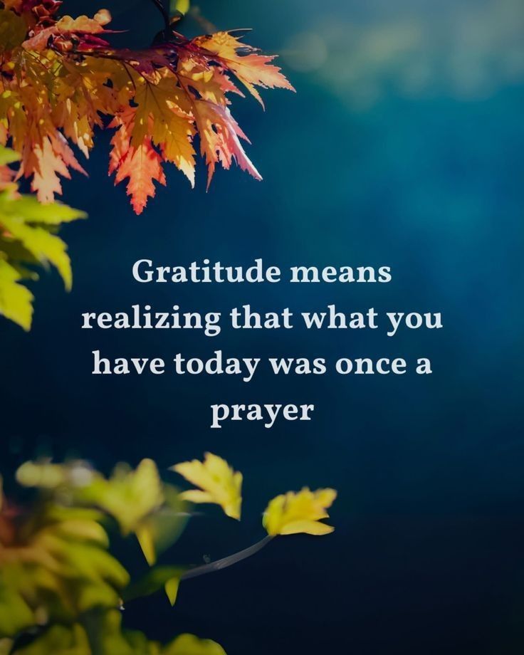 Mcumbe Khwali Ntuli (Nkuhlu) tweet media