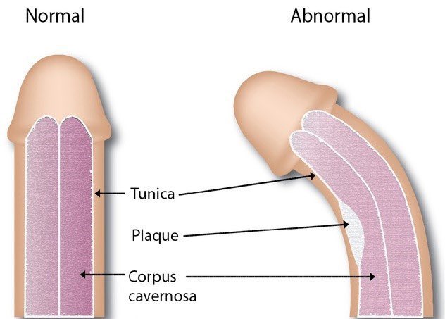 Masculine Path tweet media