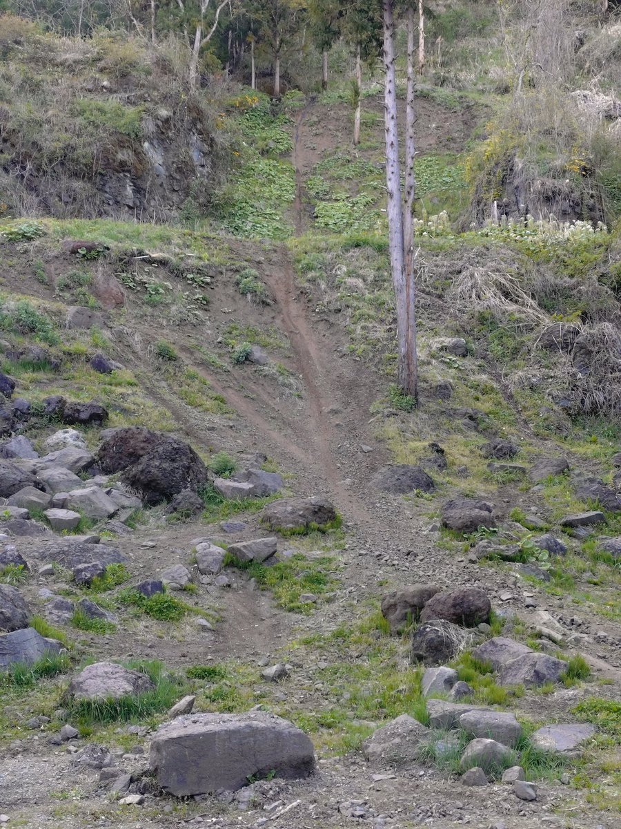 えっこ tweet media