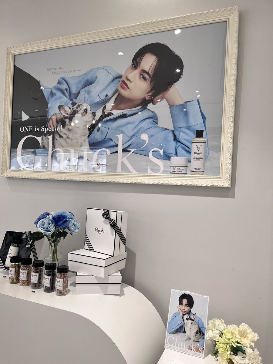 あねきねこ໒꒱ ‧₊˚ tweet media