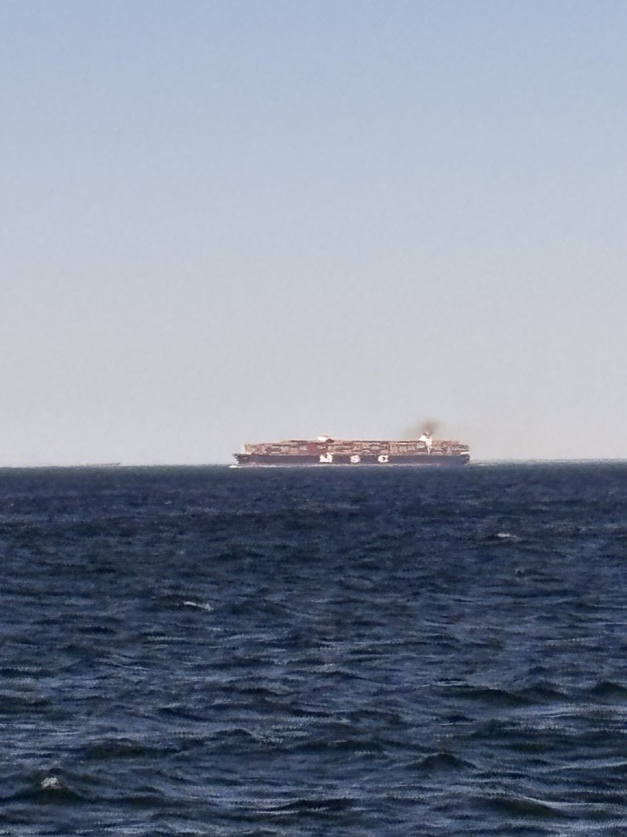 Capt Mylo tweet media