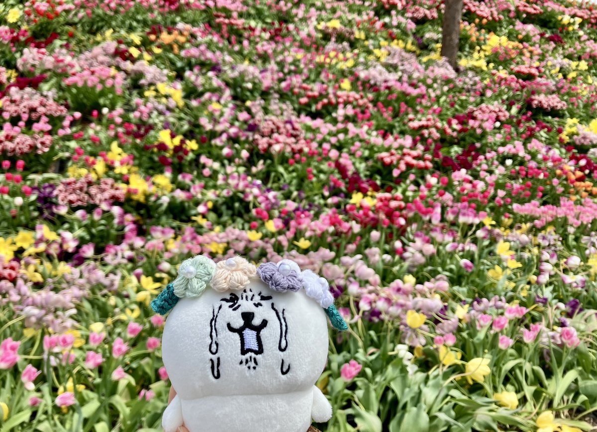 ゆきこ tweet media