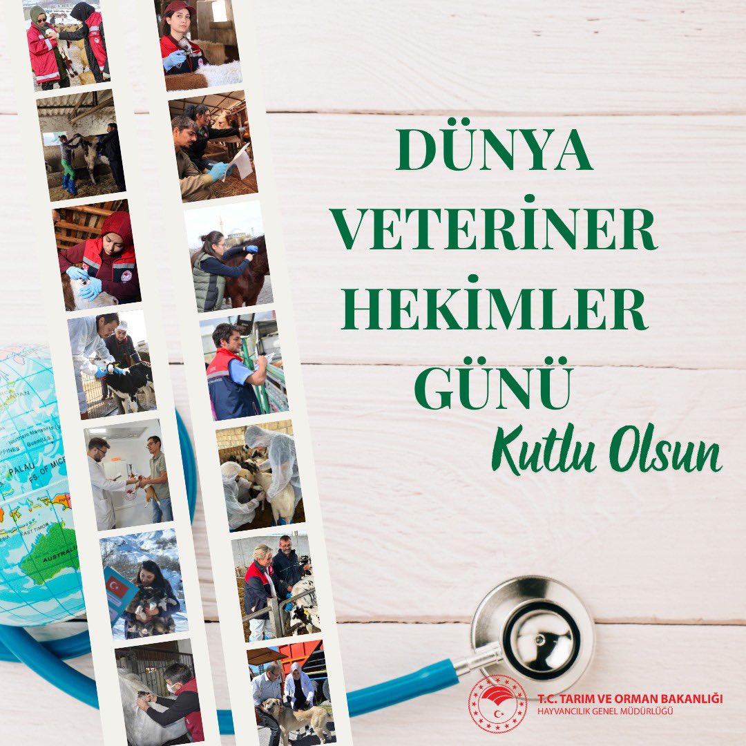 Hayvancılık Genel Müdürlüğü tweet media