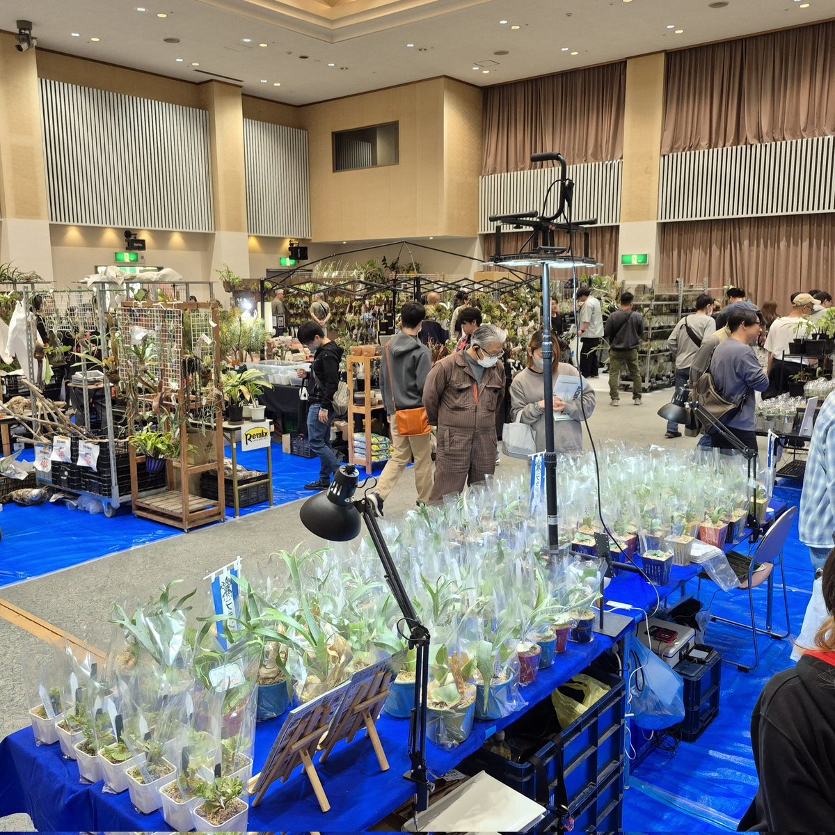 銀パパ tweet media