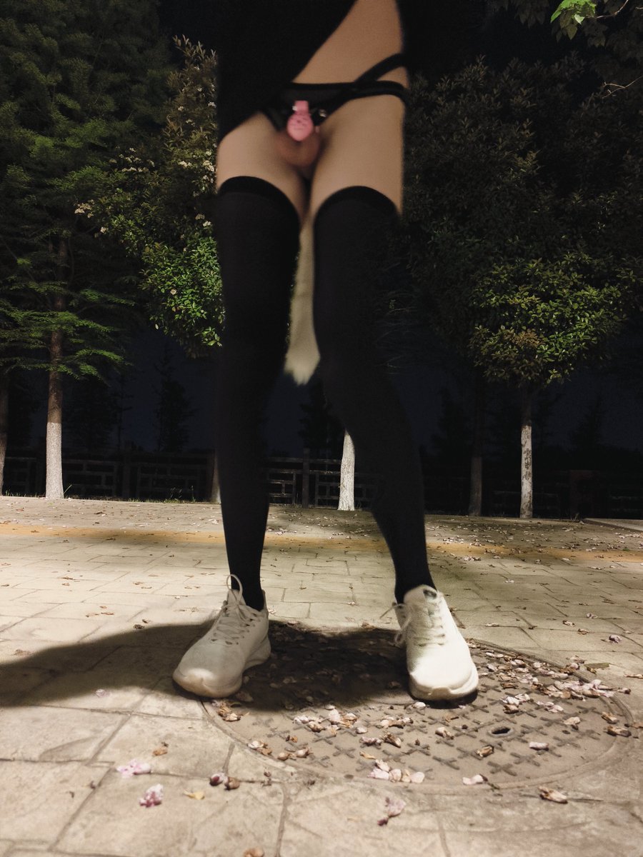tutucd2001's tweet photo. 马路边戴着尾巴露出，好多人过来过去的！前锁后塞
#伪娘 #露出 #男娘 https://t.co/fZXlOvSWqs