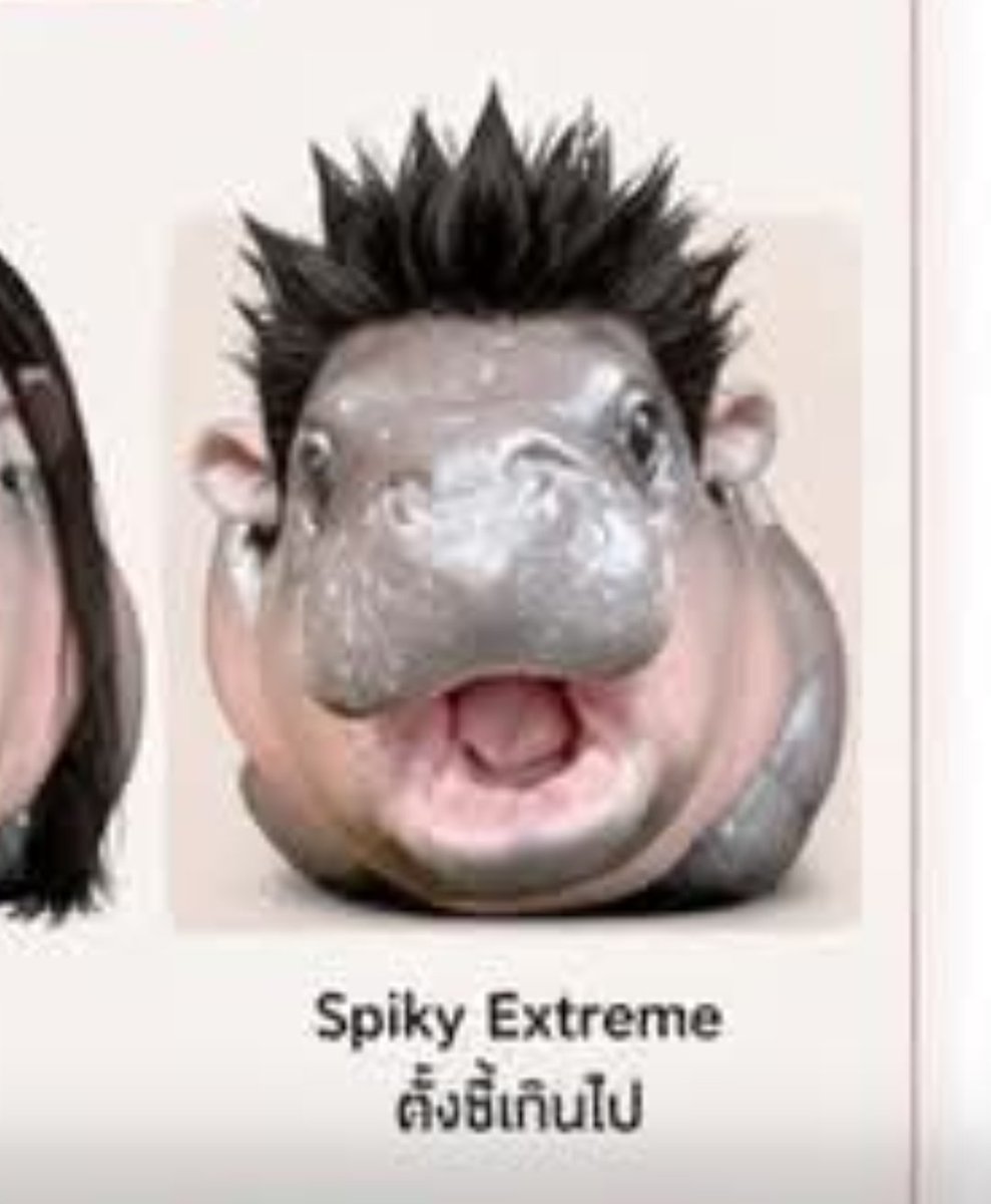 สารวัตรแจ้ะ tweet media