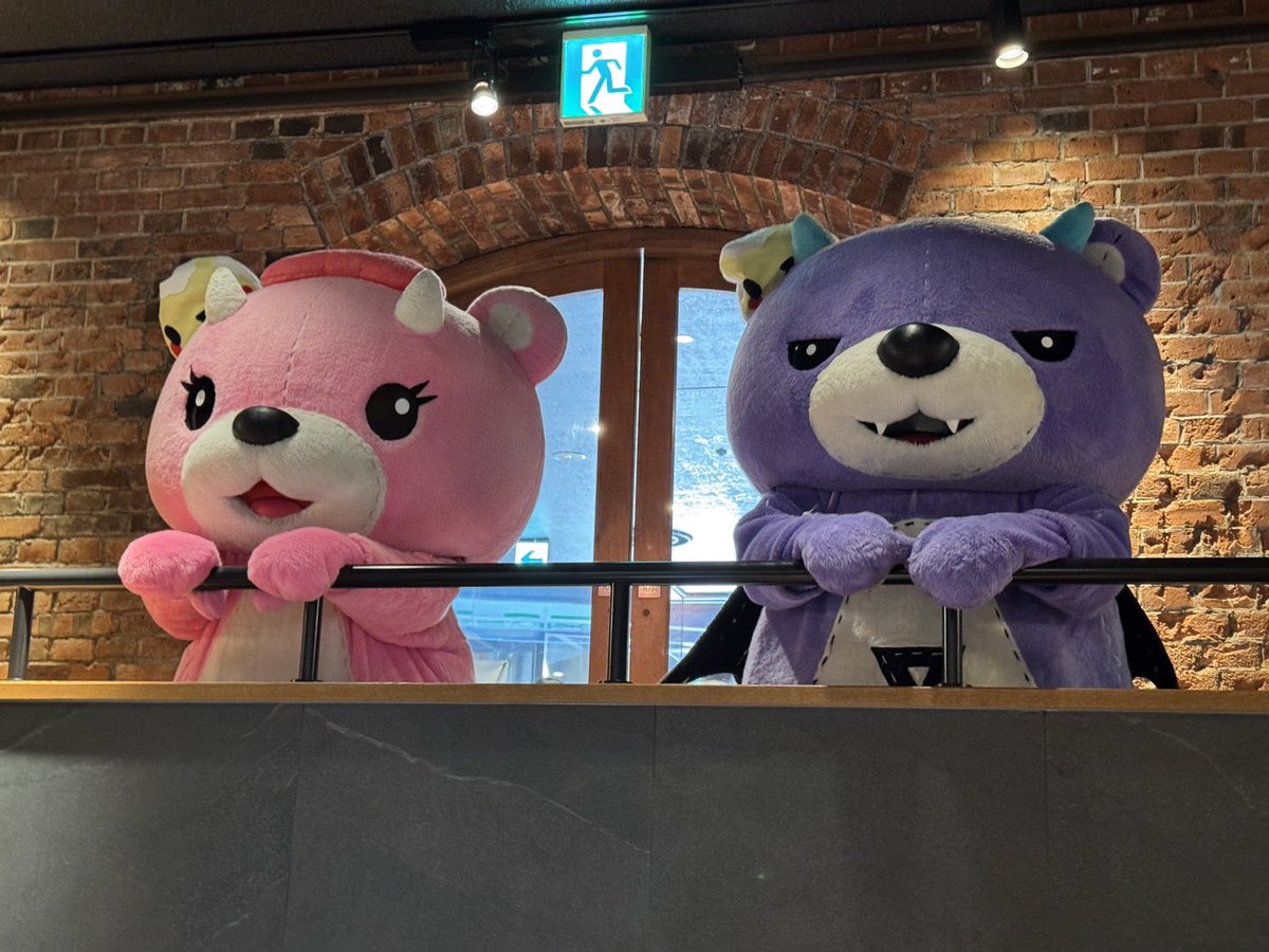 🎀コアックマ tweet media