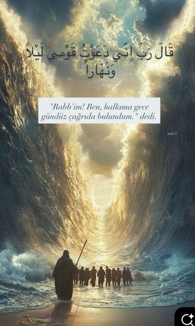 REİSCİ🇹🇷 SeVDa❤️🇵🇸 tweet media