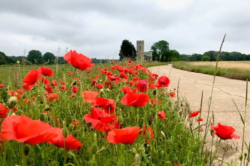 Reepham Life tweet media