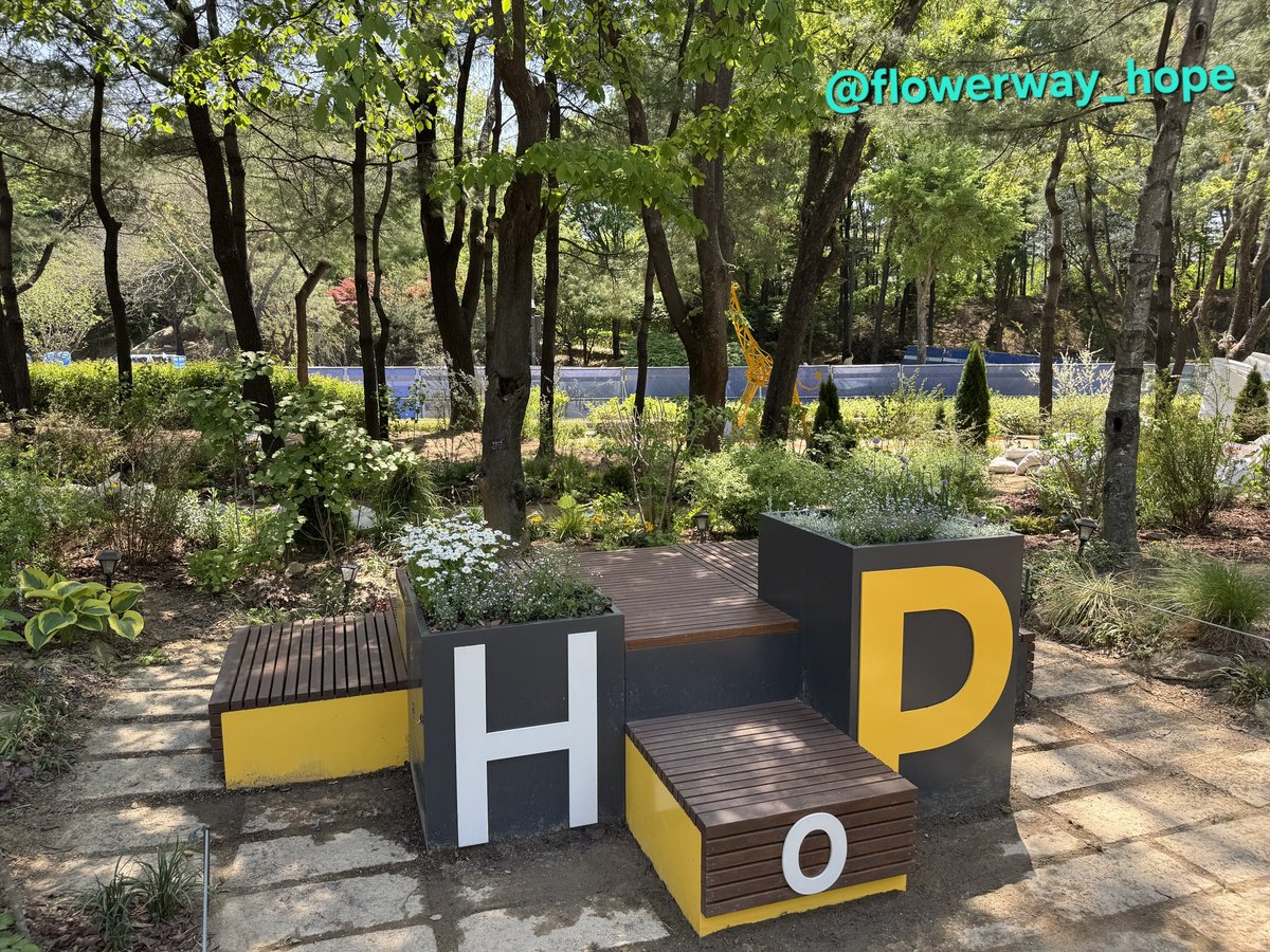 🌲제이홉숲(#jhopeforest)이야기🌲
 
안녕하세요.
정호석꽃길조성단입니다.
#제이홉숲 주변 정리와 1차 보식이 완료되었음을 알려드립니다🌸
2026 서울국제정원박람회 개장(5월1일~10월 27일)에 맞춰 제이홉숲도 낙엽과 잡초를 걷어내고 이쁜 꽃나무를 심었습니다. 
그리고 2차 추가보식은 5월 중순에