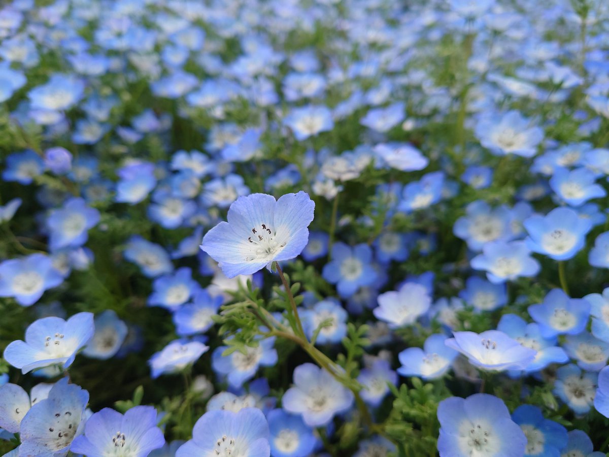 ⚡𝘼̤̮𝙮𝙖𝙠𝙖💫🧢🍓 tweet media