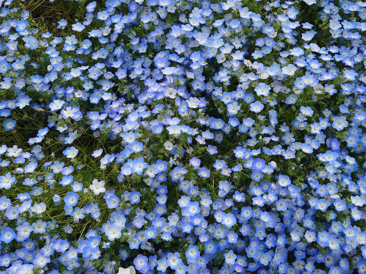 ⚡𝘼̤̮𝙮𝙖𝙠𝙖💫🧢🍓 tweet media