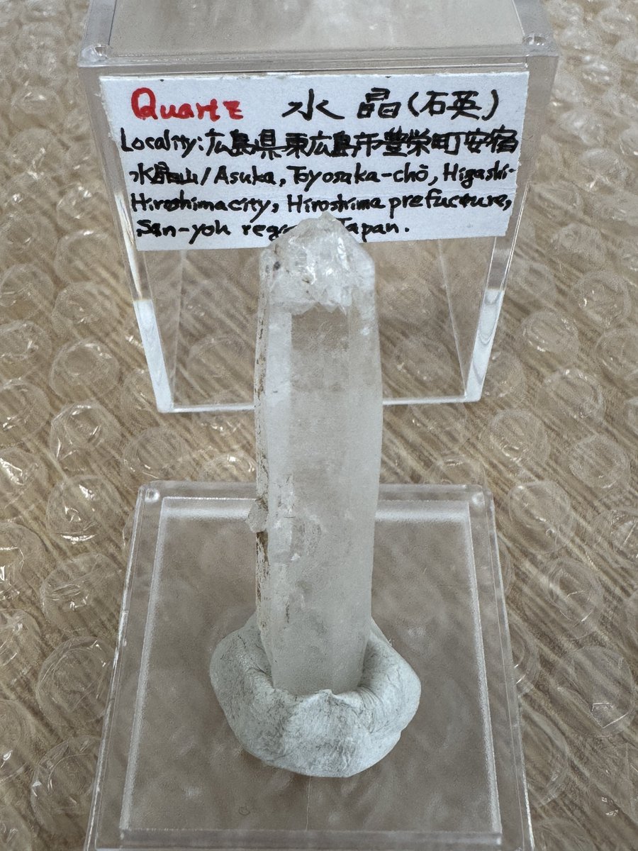 なしろ(エビフリャー🦐) tweet media